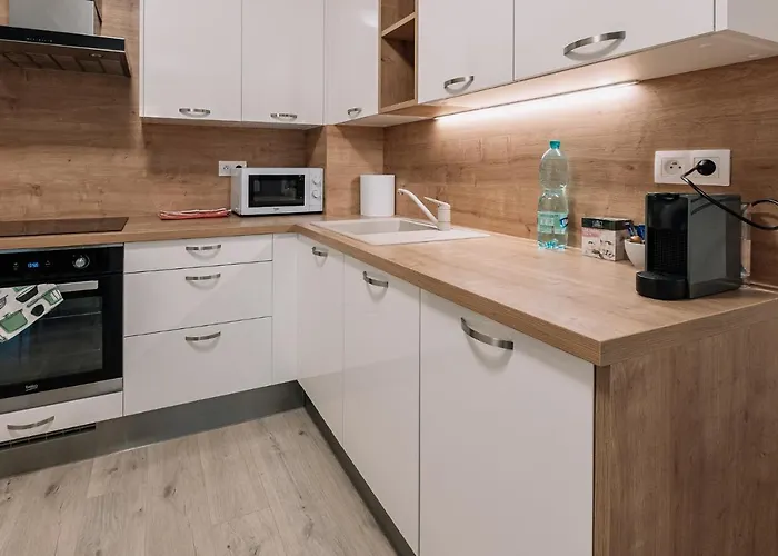 Skau Dunajska 58a Apt3